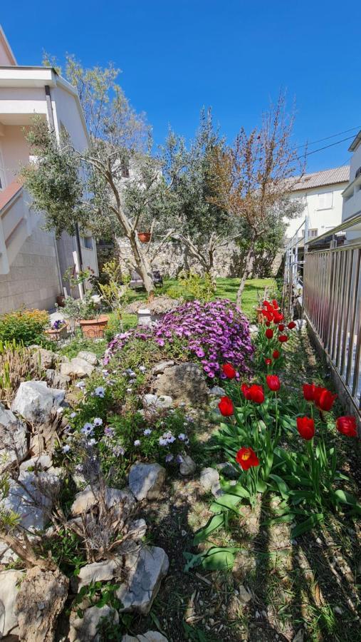 Apartmani Dami ノヴァリャ エクステリア 写真
